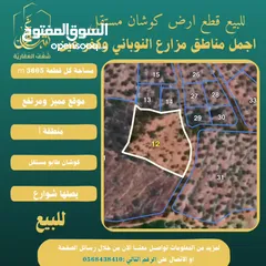  4 شغفنا متواصل.. قطعة 3605 m كوشان طابو في مزارع النوباني