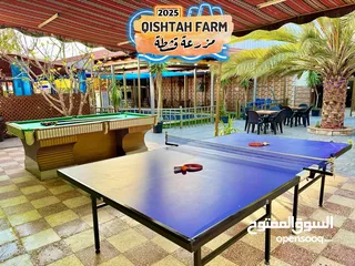  19 مزرعة قشطة للايجار في بلعما - مزرعة 5 STAR - مزرعة VIP - مزرعة للايجار - مزارع للايجار