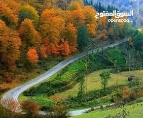  1 مترجم . سائق