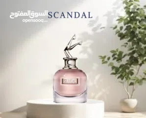  12 سحر الأنوثة في زجاجة أصليات او مكفولات او في عرض او في كميات محدوده