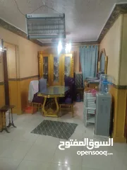  13 شقة في قرية مارينا العجمي