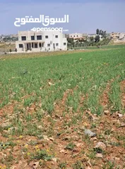  1 ارض للبيع رحاب طريق الزرقاء اربد جسر رحاب