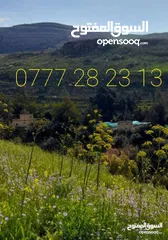  9 3،400دونم ماحص وادي شعيب الفحيص  استخدام سياحي سكني زراعي يكمن شقة قبول شقة  عمان الغربيه من ثمن