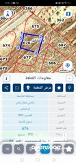  2 فرصة ذهبية لامتلاك أرض في أم الدنانير! أرض مميزة للبيع – استثمار ذكي أو سكن هادئ
