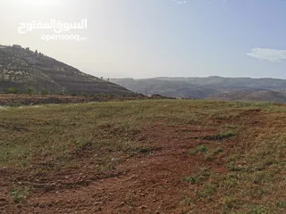  1 قطعة أرض مميزة للبيع في السلط الصبيحي قصيب مرتفعة ومطلة بسعر مغري