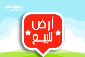  1 قطعة ارض للبيع المساحة 250 م في الفلوجة طريق السياحية رقم العقار 10110/1/21 الشامية / طابو صرف