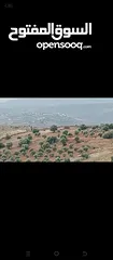  4 قطع اراضي في عجلون للاستثمار