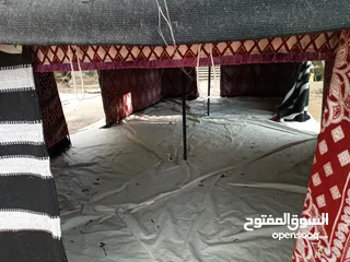  10 خيم شعر تراثيه  حجم 8م×4م يوجد أحجام أخرى حسب الطلب  الخيم جديده ولا يوجد  مستعمله