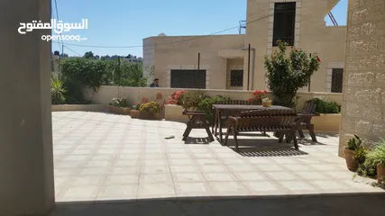  5 شقة للايجار