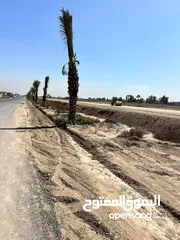 5 بغداد المكاسب حي النصر خلف حي جهاد