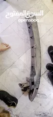  6 قطع افانتي نيو