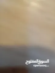  2 مطعم للبيع المطعم شغال او للضمان