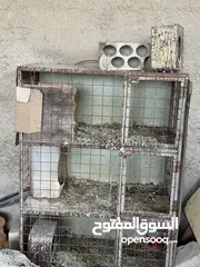  2 قنون حديد ( تفصيل ) جبل النصر