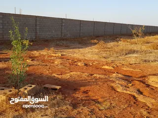  8 نص هكتار في سيدي خليفة مشروع رقم 1