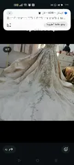  14 فساتين منوعة