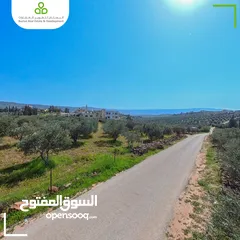  2 أرض سكنية مزروعة زيتون في السلط / الصبيحي / سيحان / 1200 متر