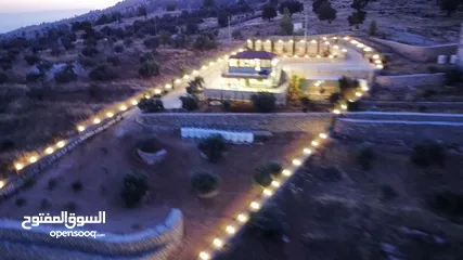  10 مزرعة مميزة في جرش مع بيت طابقين بسعر مميز للبيع