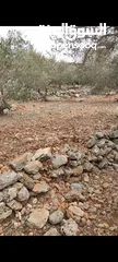  2 ارض للبيع سلفيت -بروقين