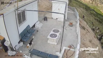  2 استراحة استثماريه للبيع مطله على وادي الريان قوشان مستقل 3،5 دونم مشجرة بالكامل مع مواقف سيارات