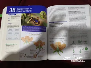  4 كتاب  Biology-A global approach لcampbell