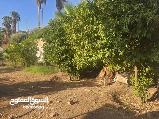  1 بيت ريفي مع ارض في منطقة هادئة وخلابة قريبة من الخدمات يصلح للاسثمار