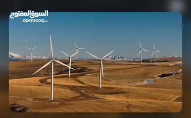  2 قطعة ارض للاستثمار او التأجير في الشوبك قوشان مستقل