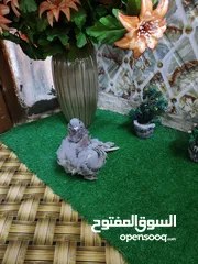  4 حمام كشكي زينه