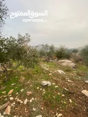  7 ارض للبيع نابلس_طلوزه