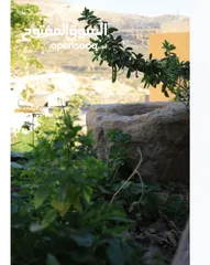  20 3،400دونم ماحص وادي شعيب الفحيص  استخدام سياحي سكني زراعي يكمن شقة قبول شقة  عمان الغربيه من ثمن