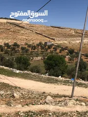 1 قطعة ارض للبيع -بلعما -عين والمعمرية