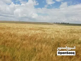  2 نِيغده – بور (Niğde – Bor)  من أجمل وأخصب المناطق الزراعية في تركيا  للبيع 10 ألف دونم ارض زراعية