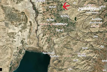  5 قطعة ارض للبيع من اراضي الشونة الجنوبية على الشارع واصل كل الخدمات منطقة سكنية جديدة بسعر مغري