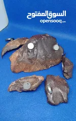  4 Jabal Kamel Hadidi meteorites, Tripoli, Libya, weight: one kilogram and 200 gram
