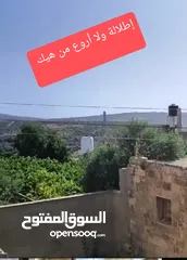  9 بيت أثري  تراث قديم  مستقل  للبيع  بسعر مغري ومميز