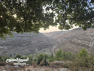  1 ارض للبيع، في بيت امر /قرى الخليل بسعر مغري