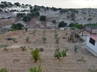  6 مزرعة في اربد كفر اسد للبيع