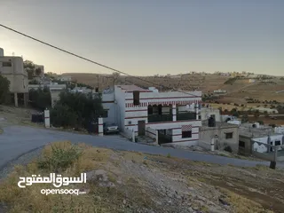  15 بيت للبيع بداعي السفر الموقع المفرق بلعما الحي الشمالي بجانب مسجد خالد بن الوليد  المالك الشيخ ماجد