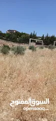  1 قطعة أرض للبيع من المالك مباشرة بسعر خيالي ناعور / ابو الغزلان مساحة 20دونم