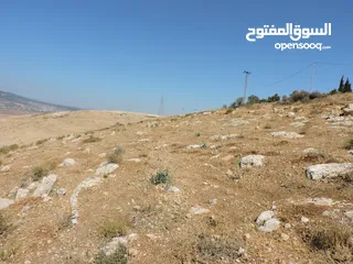  13 أجمل اطلالات جلعد-قوشان مستقل