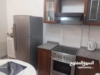  20 Fully Furnished Villa for rent