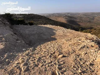  2 دونم للبيع في عين عريك
