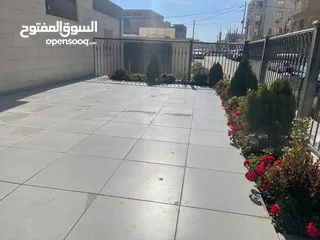  8 Luxurious Furnished Apartment For Rent In 7th Circle