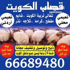  4 قصاب الكويت اغنام ذبايح للبيع