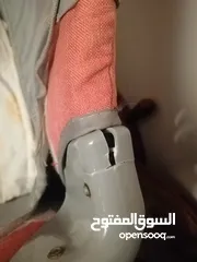 12 سرير أطفال كبير اوروبي معاه هديه شنته ولعبه