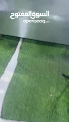  7 عدة مطاعم.