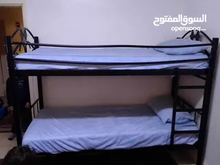  1 تخت طابقين