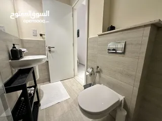 17 Furnished Apartment in brand new building Oasis1