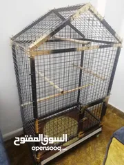  2 مطير ببغاوات حديد تفصيل