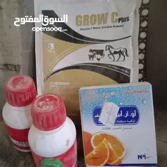  2 صوص دجاج بلدي صحراوي نخب ما شاء الله العمر 17 يوم ماخذ جميع المطاعيم والفيتامينات