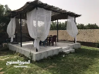  24 فيلا للايجار اليومي بحمام سباحه وجاردن خاص ومناطق العاب للاطفال اقل الاسعار